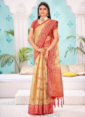 Shanti By Sangam Organza Wedding Saree Collection